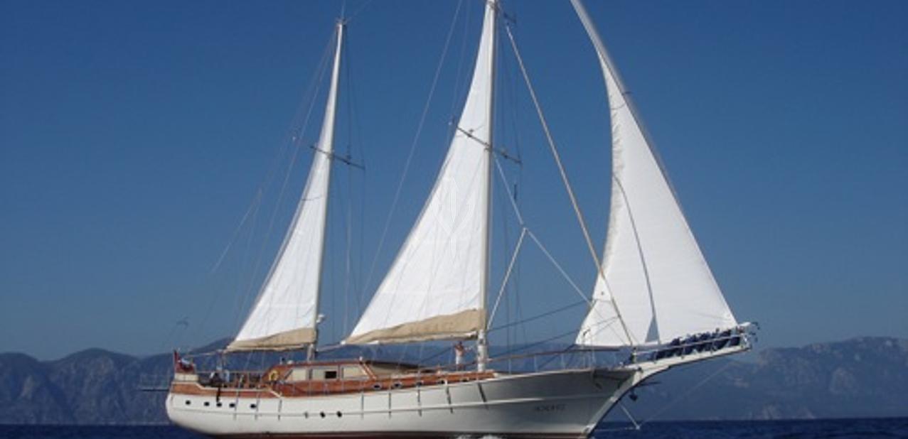 Schatz Charter Yacht