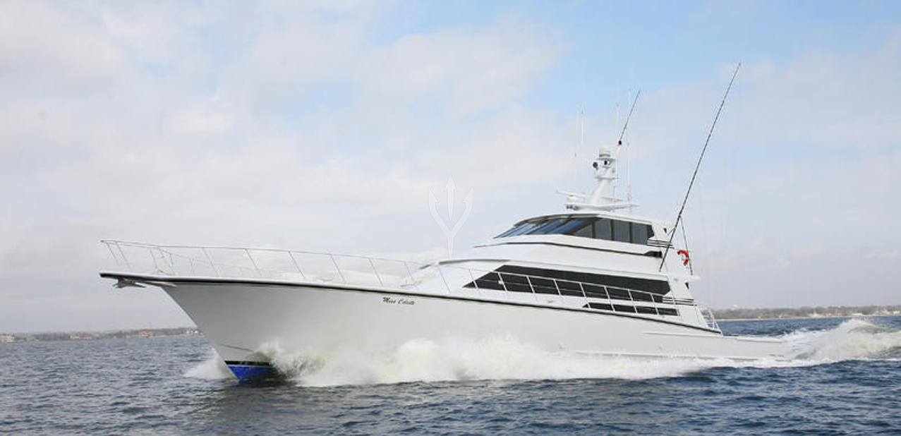 Fin-ominal Charter Yacht