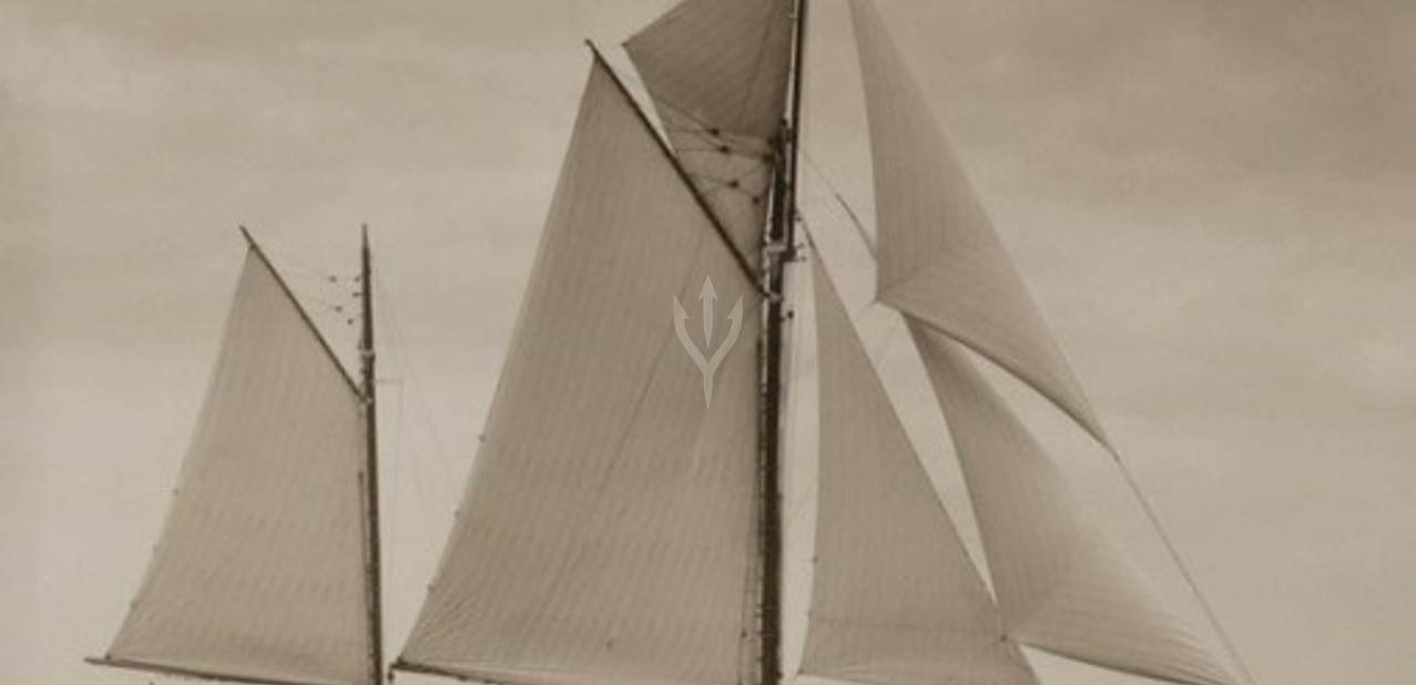 Cariad Charter Yacht