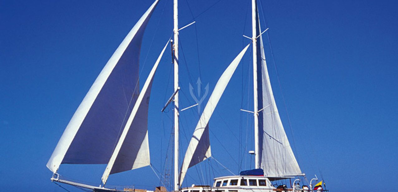Beagle Charter Yacht