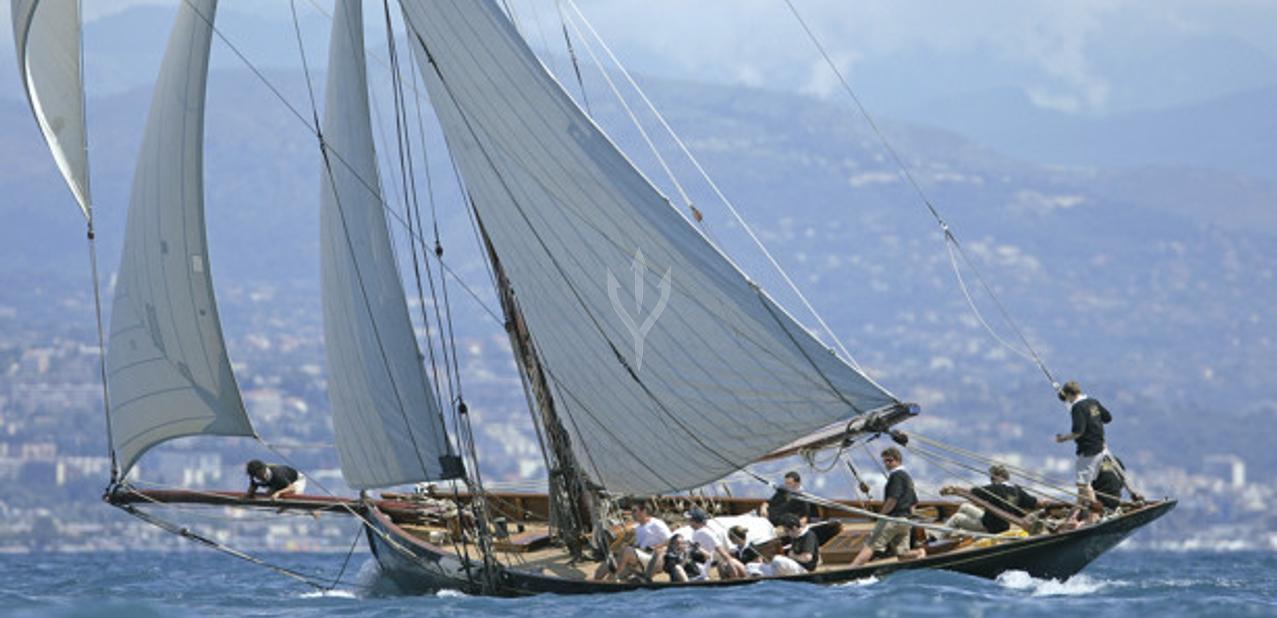 Marigold Charter Yacht