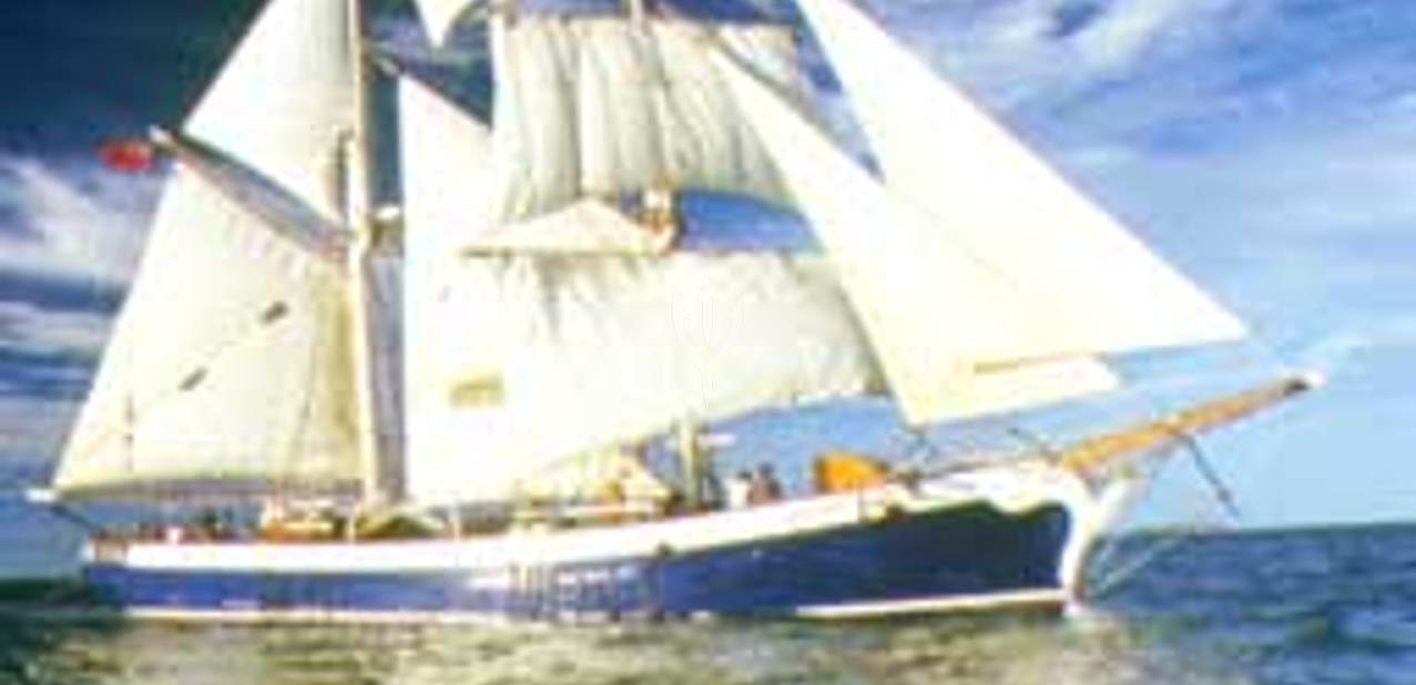 Golden Plover Charter Yacht