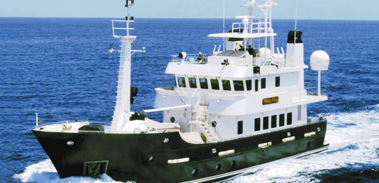 Whale Song Charter Yacht