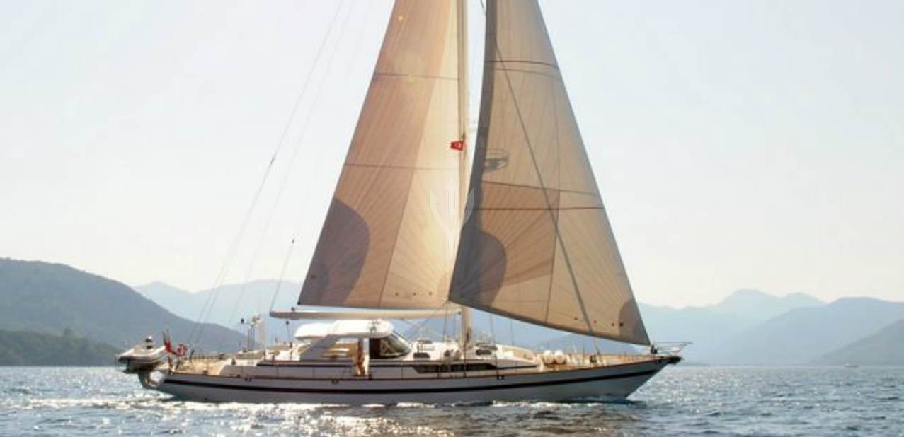 Taronga Charter Yacht