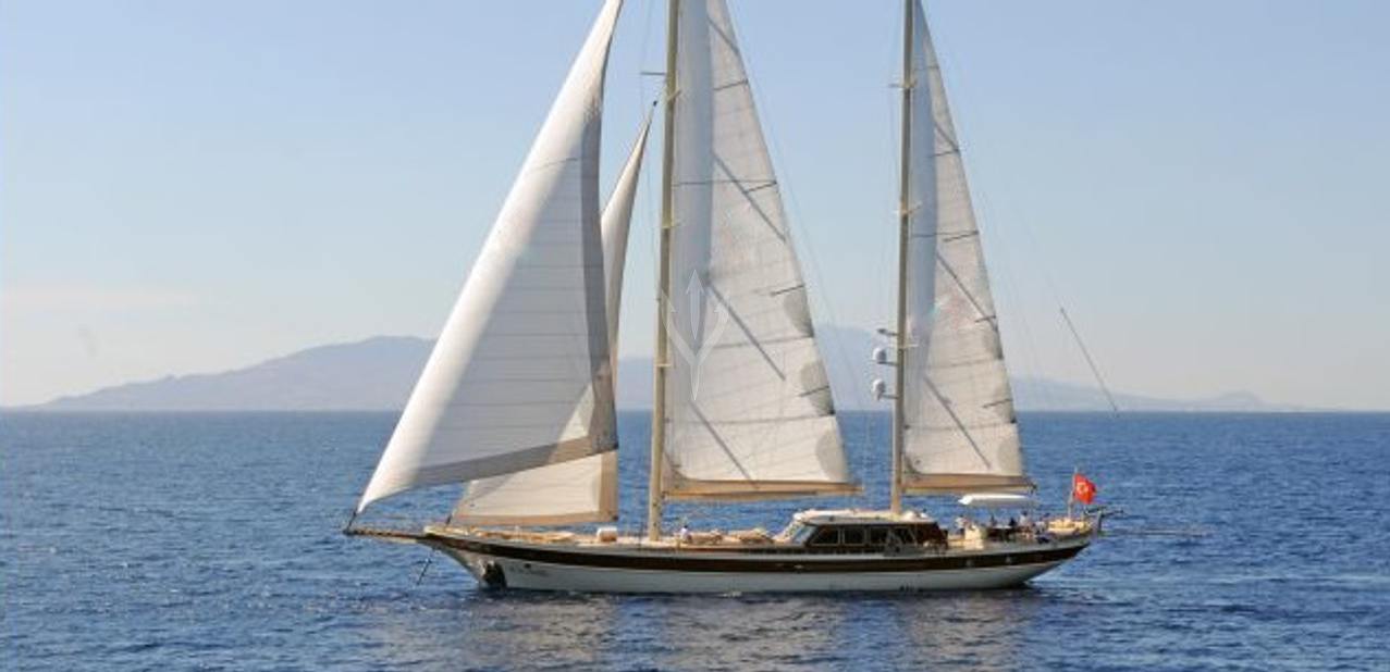 Vivien Charter Yacht