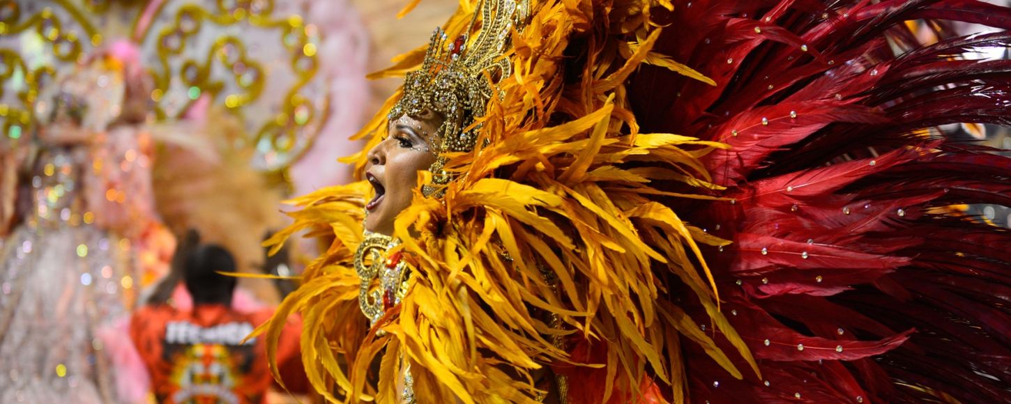 Rio Carnival 2014