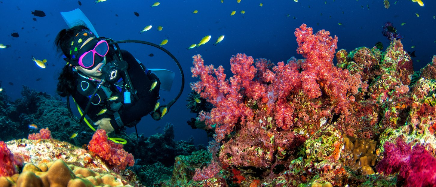 The Secret To Speeding Up Your PADI Certification