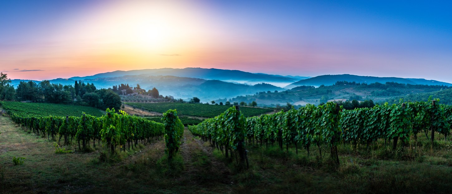 Six of the Best Wine Regions to Visit by Superyacht