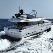 Bellini photo 5