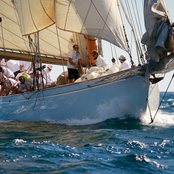 Moonbeam of Fife III photo 5