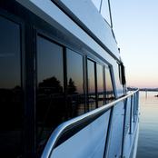 Anticipation photo 3