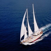 Tigerlily of Cornwall photo 2