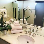 Anticipation photo 5