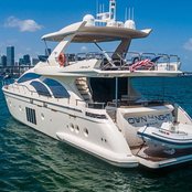 Own the Night photo 5