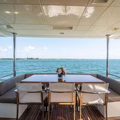 Own the Night photo 4