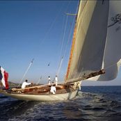 Moonbeam of Fife III photo 3