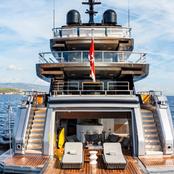 Pandion Pearl photo 5
