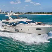 Own the Night photo 2