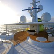 Albatross photo 4