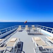 Pinguino Explorer photo 3