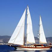 Estrella De Mar photo 5