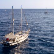 Grand Sailor photo 5