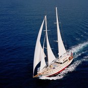 Tigerlily of Cornwall photo 3