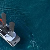 Captain Arctic photo 2