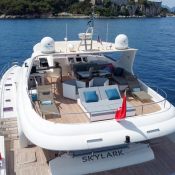 Skylark photo 4