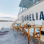 Aurelia photo 5