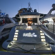 Milu II photo 4