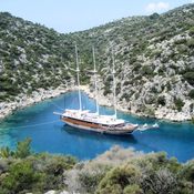 Grand Admiral photo 5