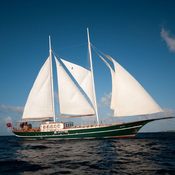 Dream Voyager photo 2