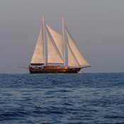 Myra photo 5