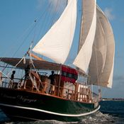 Dream Voyager photo 5