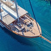 Grand Admiral photo 2