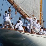 Moonbeam IV photo 4