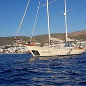 Aegean Schatz  photo 5