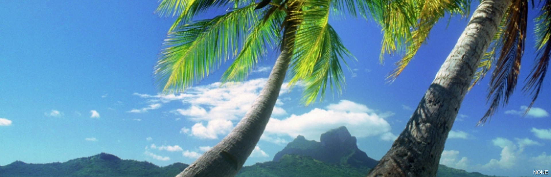 French Polynesia news photo