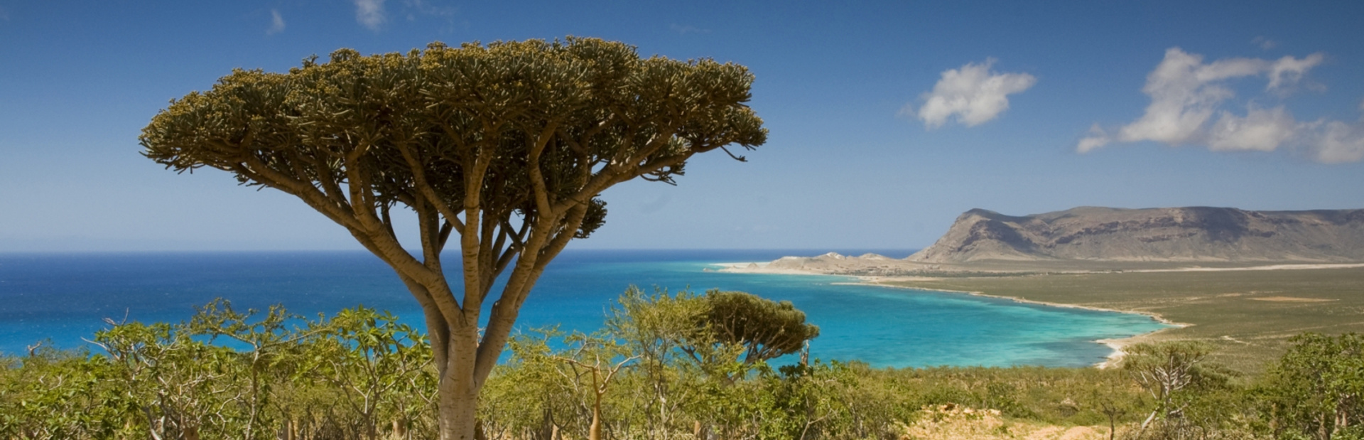 Socotra news photo