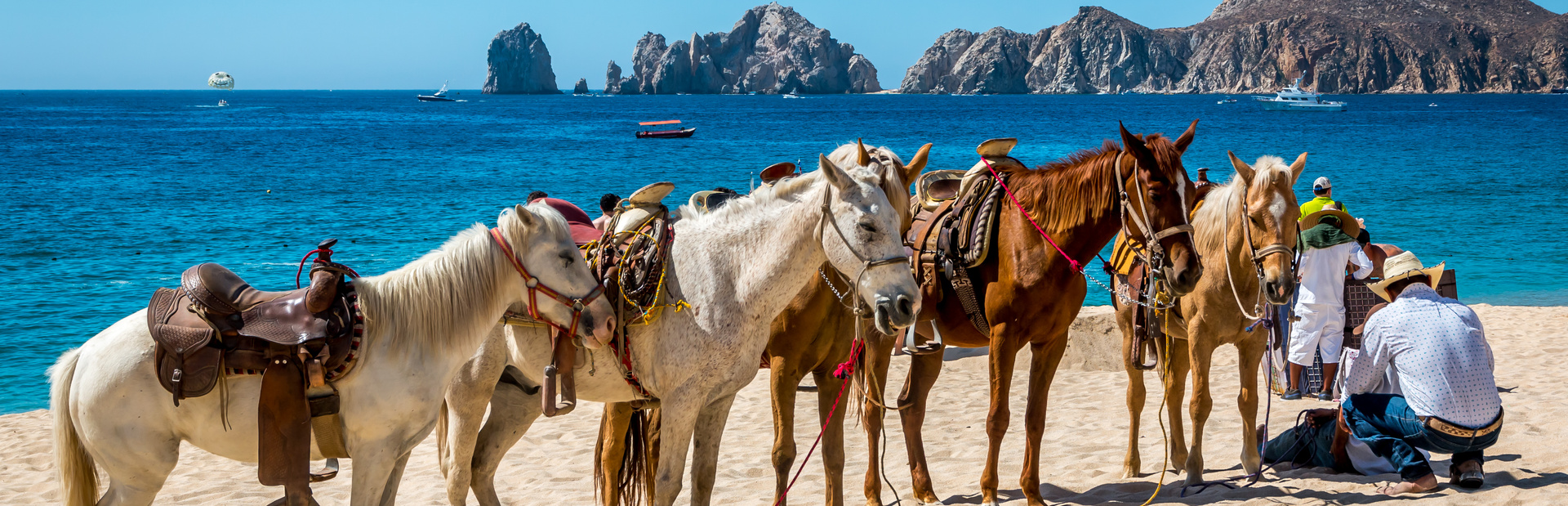 Cabo news photo
