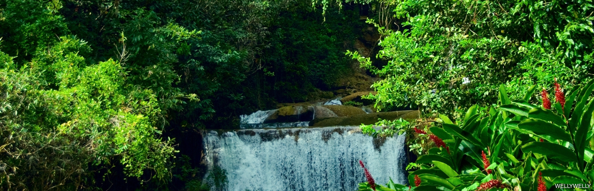 Waterfall in tropical Jamaican forest
