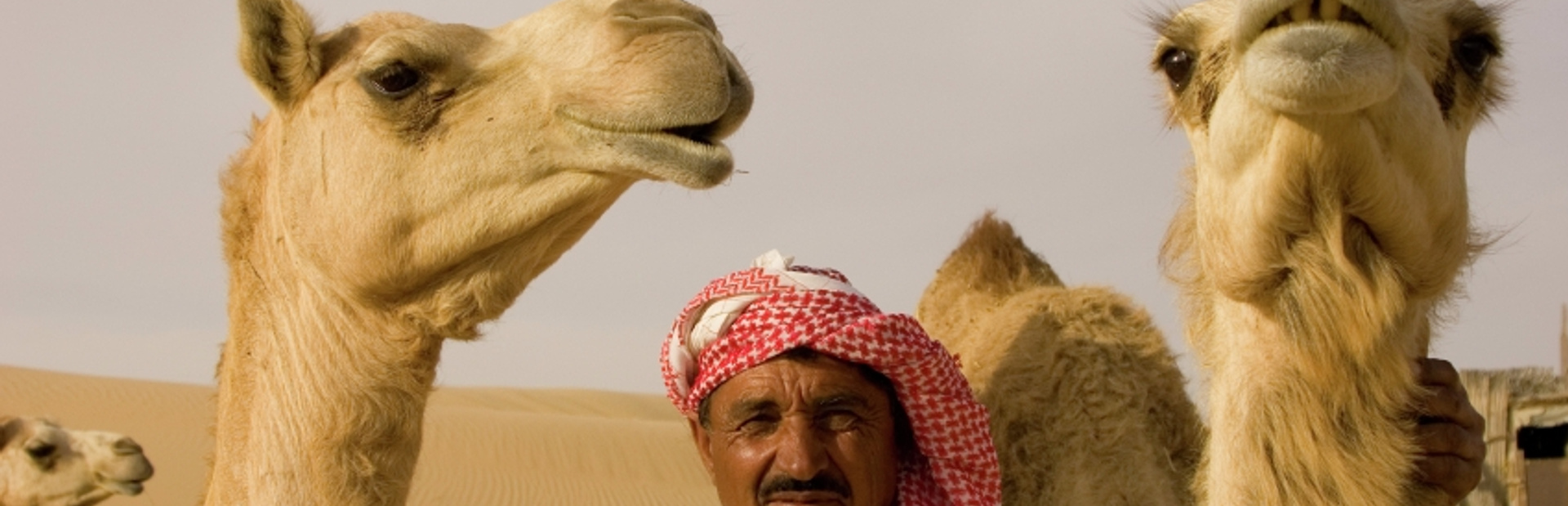 Arabian Gulf news photo