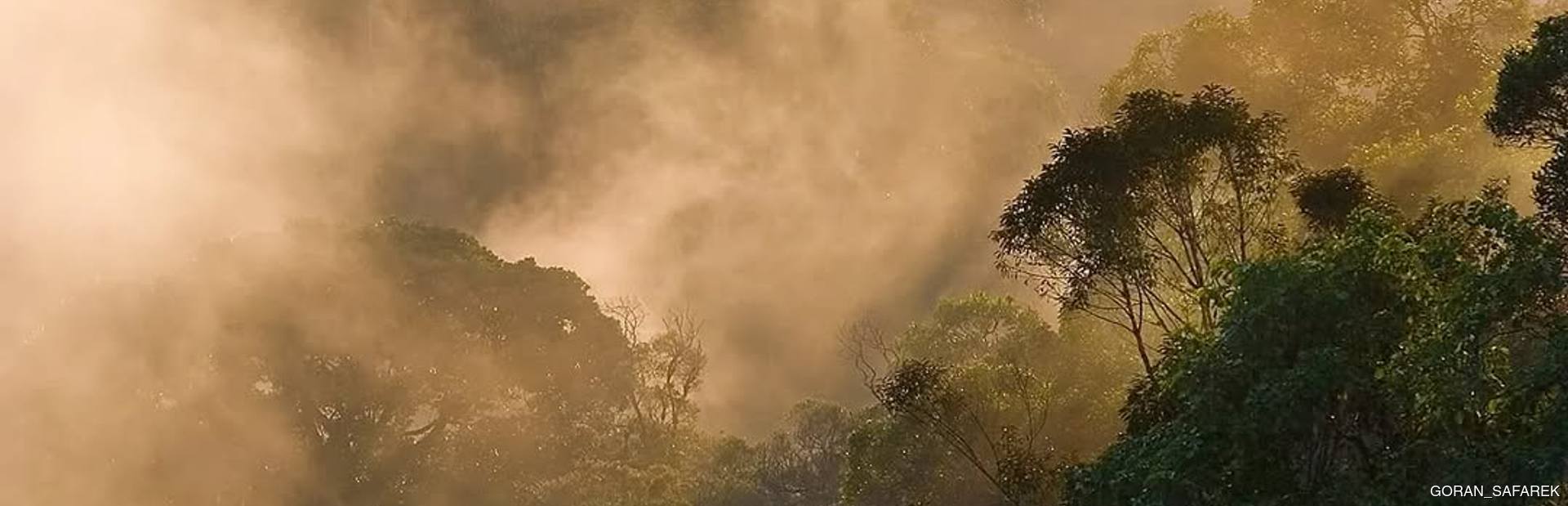 Ranomafana National Park Image 1