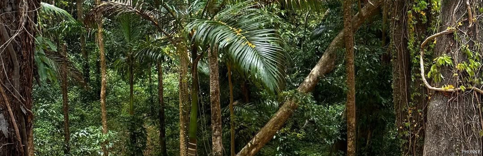 Farley Hill National Park Image 1