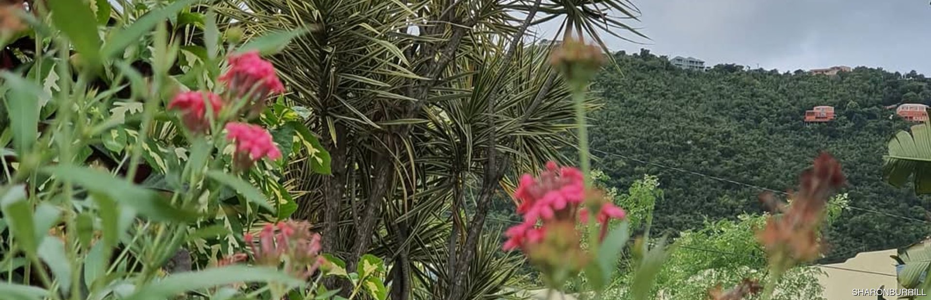 J.R. O'Neal Botanic Gardens Image 1