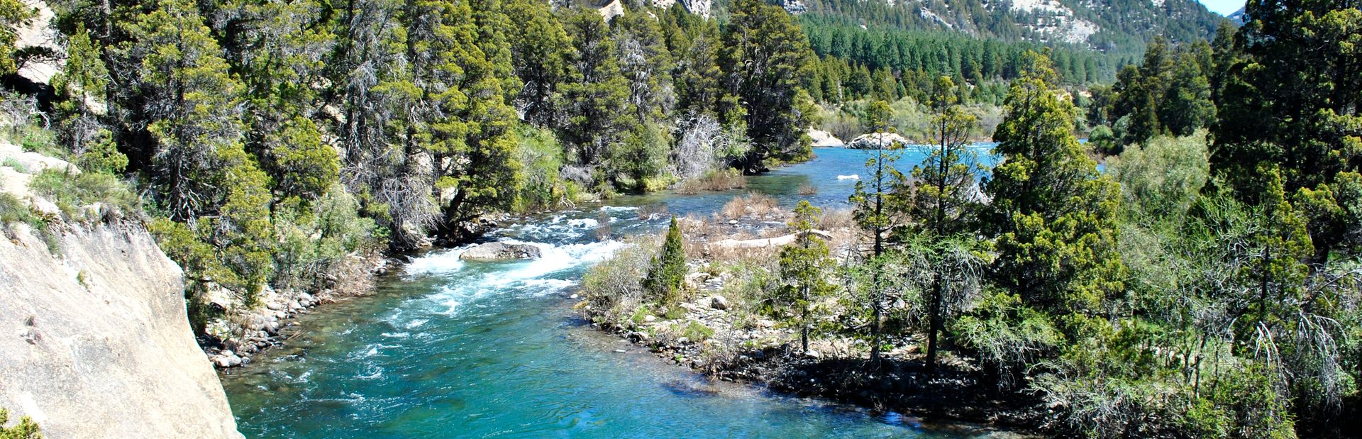 Parque Nacional Lanín Image 1