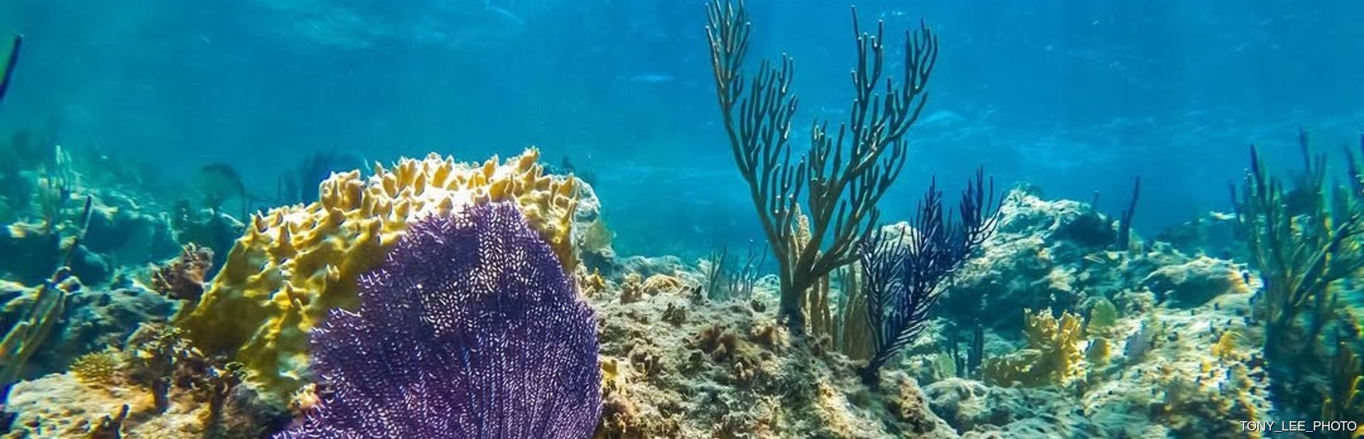 Deadman's Reef Image 1