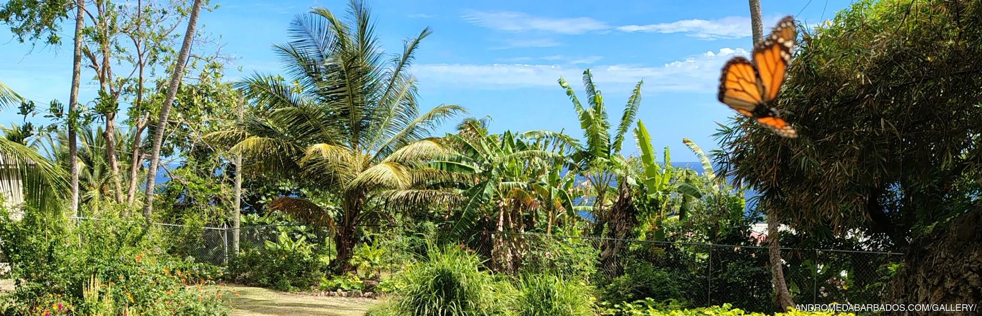 Andromeda Botanic Gardens Image 1