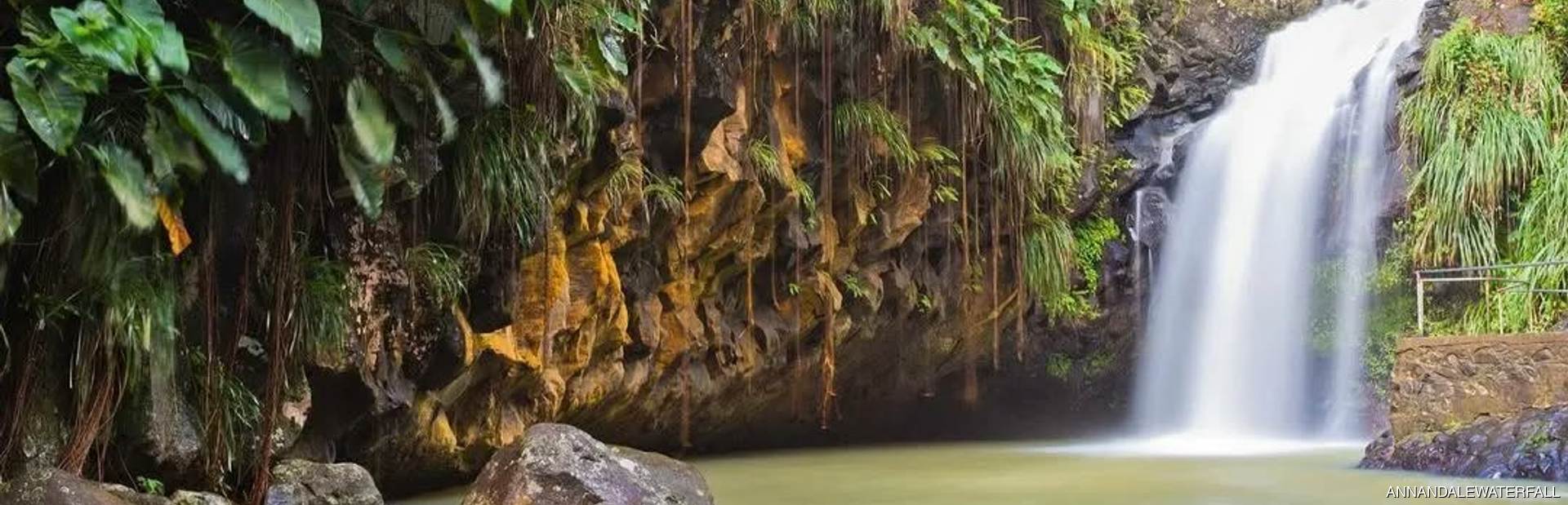 Annandale Waterfall & Forest Park Image 1